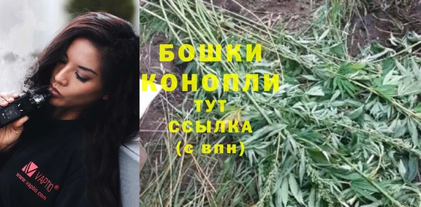 молекула духа Белокуриха