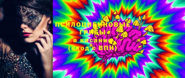 молекула духа Белокуриха