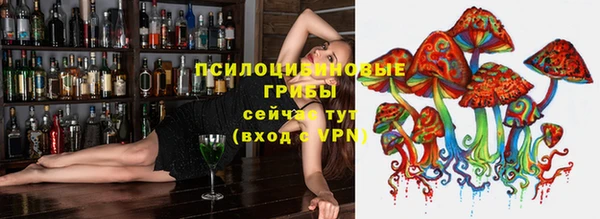 молекула духа Белокуриха