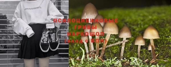 молекула духа Белокуриха